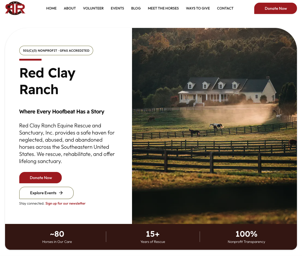 Horse Rescue Non-Profit Website